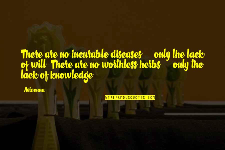 Friday 13th Superstition Quotes By Avicenna: There are no incurable diseases - only the