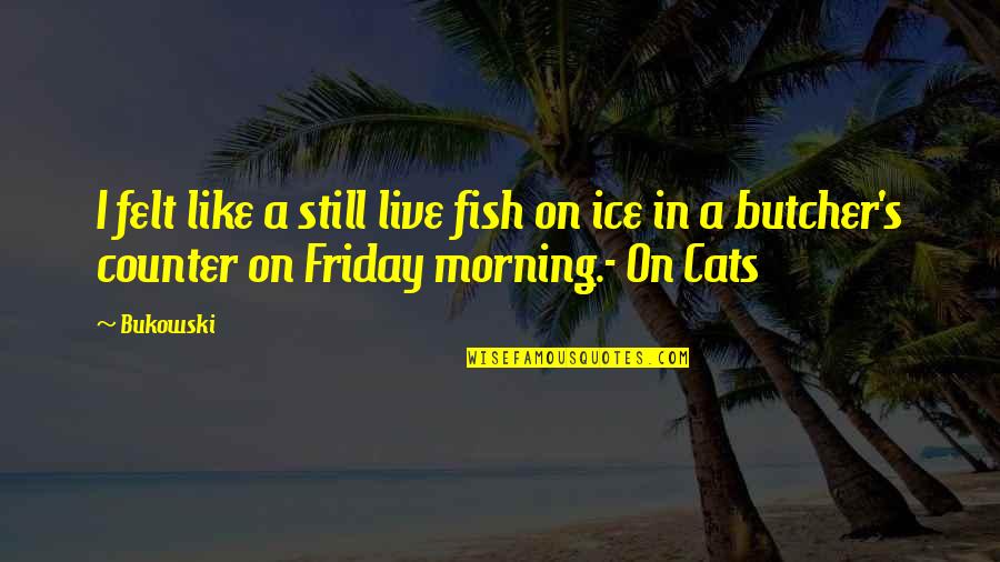 Friday Morning Quotes By Bukowski: I felt like a still live fish on