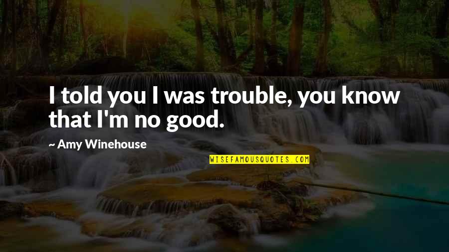 Friday Raining Quotes By Amy Winehouse: I told you I was trouble, you know