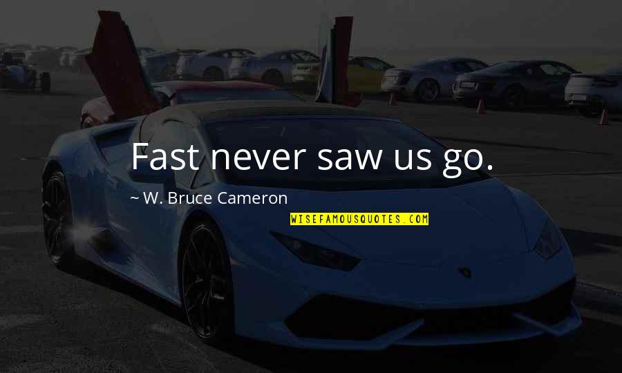 Friday Saturday And Sunday Quotes By W. Bruce Cameron: Fast never saw us go.