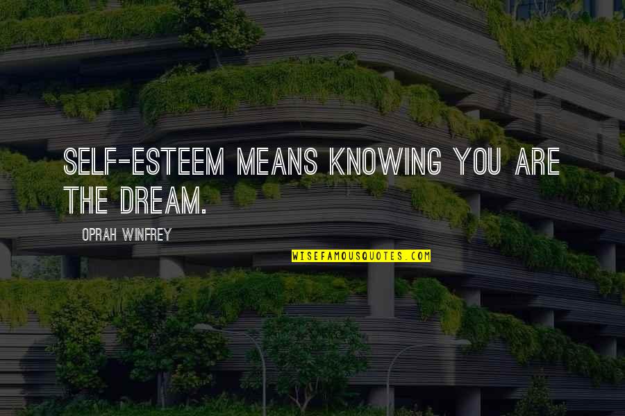 Friebel Seizures Quotes By Oprah Winfrey: Self-esteem means knowing you are the dream.