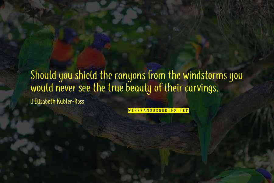 Frieceit Quotes By Elisabeth Kubler-Ross: Should you shield the canyons from the windstorms Frieceit Quotes By Elisabeth Kubler-Ross: Should you shield the canyons from the windstorms