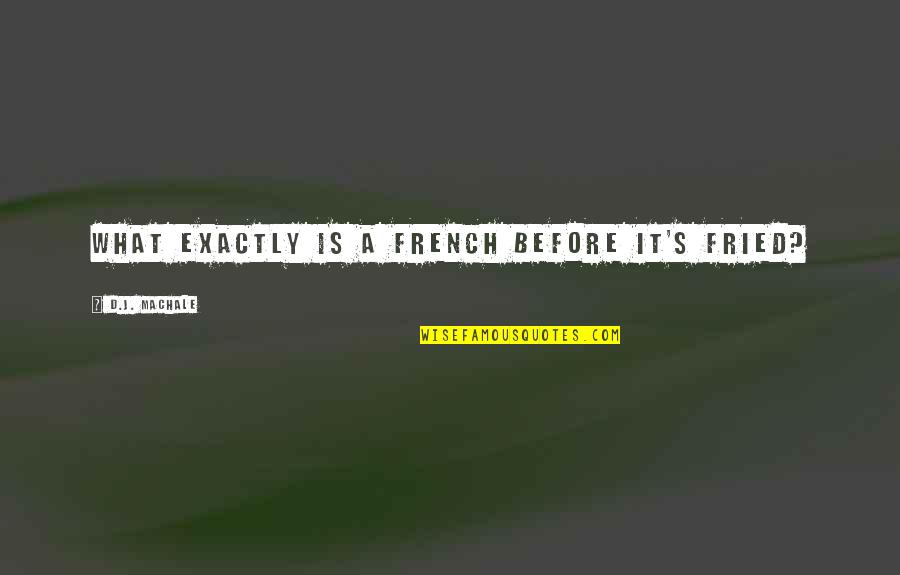 Fried Quotes By D.J. MacHale: What exactly is a french before it's fried?