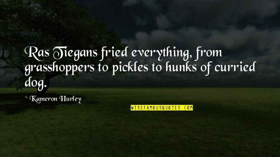 Fried Quotes By Kameron Hurley: Ras Tiegans fried everything, from grasshoppers to pickles