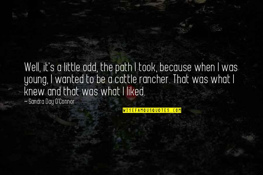 Friedelind Quotes By Sandra Day O'Connor: Well, it's a little odd, the path I Friedelind Quotes By Sandra Day O'Connor: Well, it's a little odd, the path I