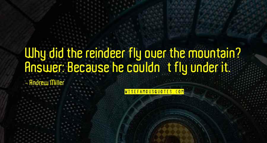 Friedelise Stutte Quotes By Andrew Miller: Why did the reindeer fly over the mountain? Friedelise Stutte Quotes By Andrew Miller: Why did the reindeer fly over the mountain?