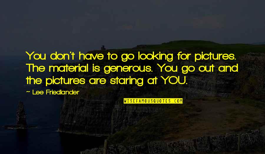 Friedlander Quotes By Lee Friedlander: You don't have to go looking for pictures. Friedlander Quotes By Lee Friedlander: You don't have to go looking for pictures.