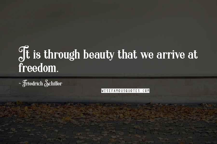 Friedrich Schiller quotes: It is through beauty that we arrive at freedom.