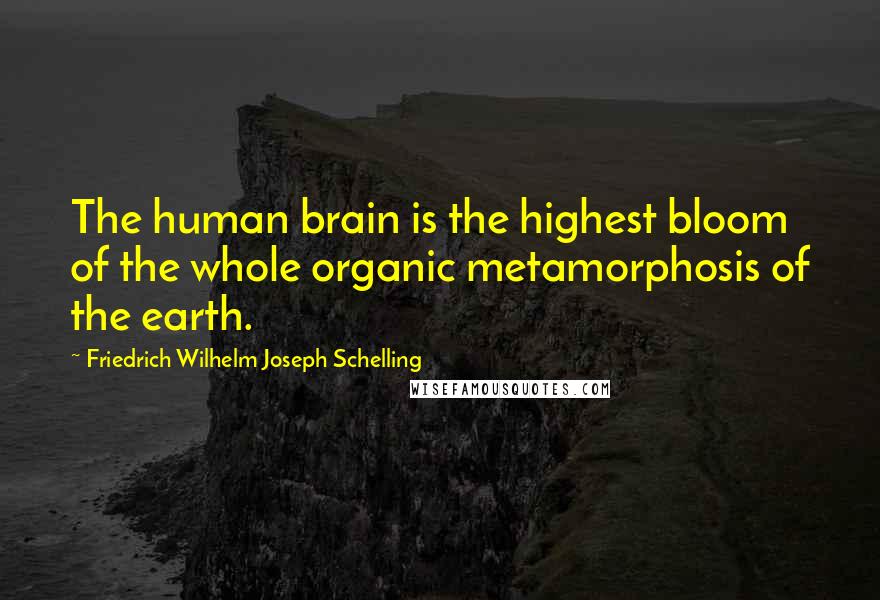 Friedrich Wilhelm Joseph Schelling quotes: The human brain is the highest bloom of the whole organic metamorphosis of the earth.