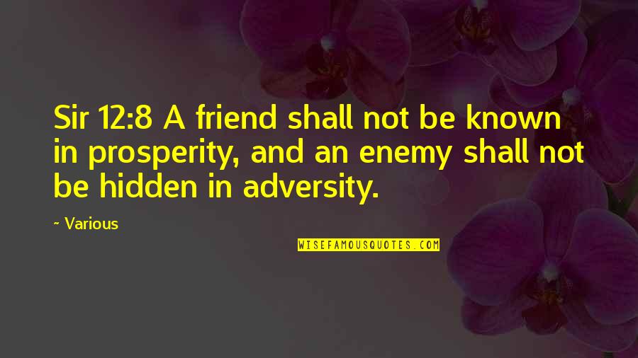 Friend And Enemy Quotes By Various: Sir 12:8 A friend shall not be known