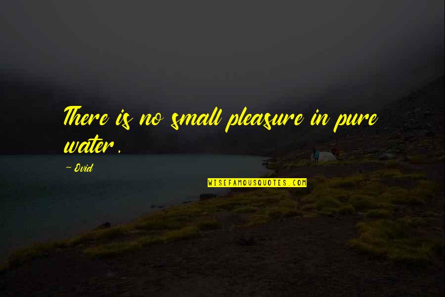 Friend And Success Quotes By Ovid: There is no small pleasure in pure water.