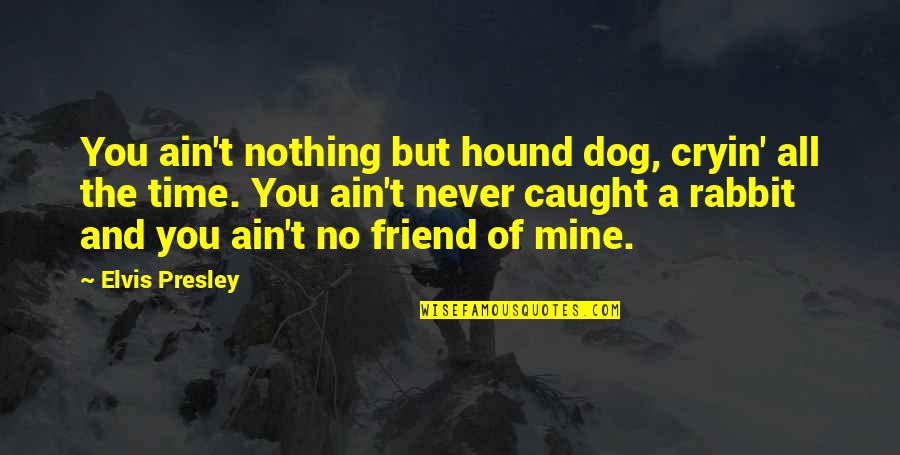 Friend And Time Quotes By Elvis Presley: You ain't nothing but hound dog, cryin' all