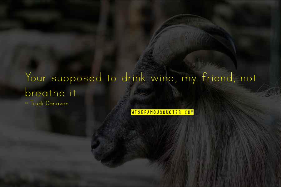 Friend And Wine Quotes By Trudi Canavan: Your supposed to drink wine, my friend, not