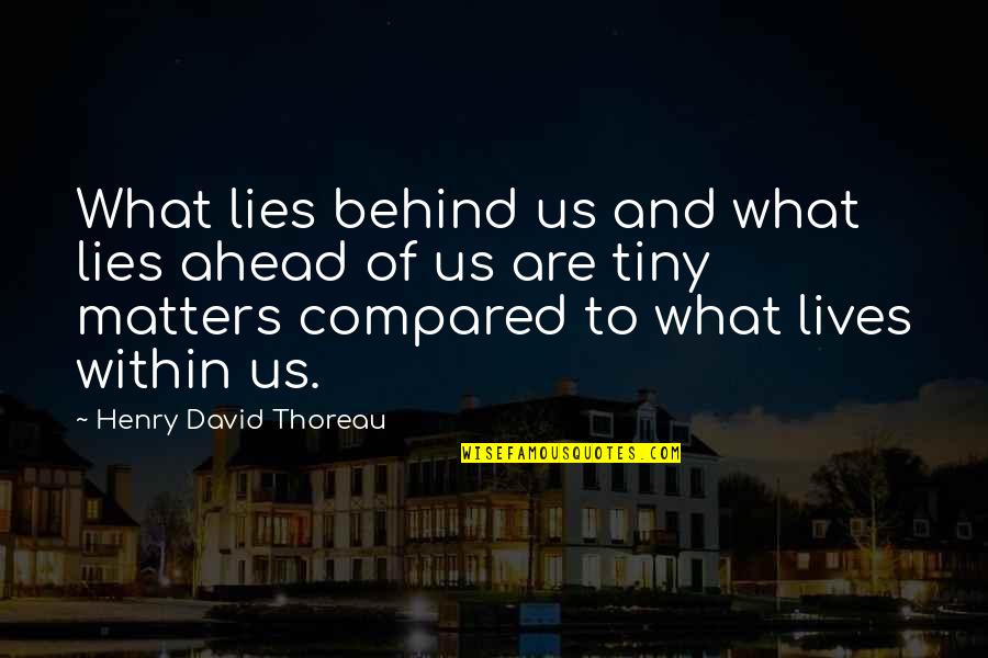 Friend Companion Quotes By Henry David Thoreau: What lies behind us and what lies ahead
