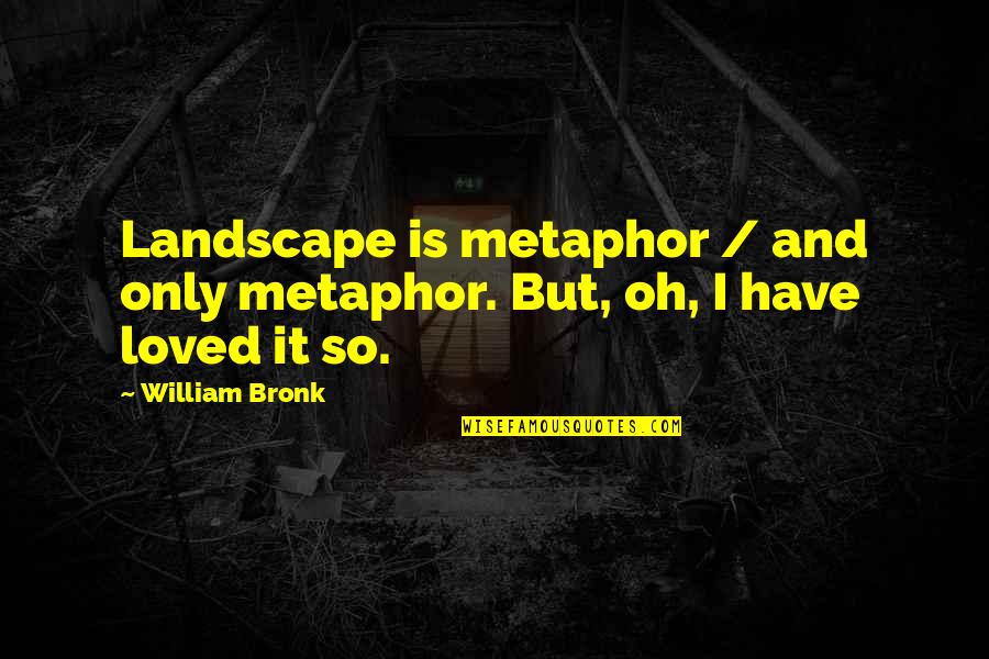 Friend Man And Woman Quotes By William Bronk: Landscape is metaphor / and only metaphor. But,