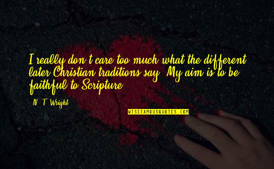 Friend Quarrel Quotes By N. T. Wright: I really don't care too much what the