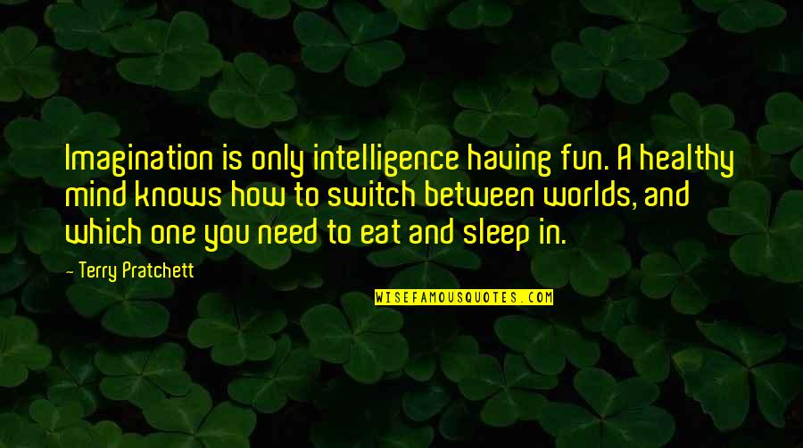 Friend Replaced Me Quotes By Terry Pratchett: Imagination is only intelligence having fun. A healthy