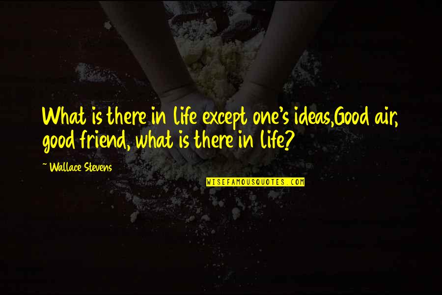 Friend S Quotes By Wallace Stevens: What is there in life except one's ideas,Good