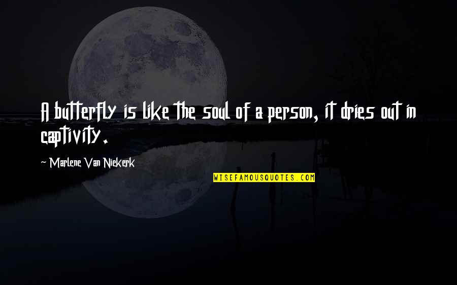 Friend Wants Me To Get Her Pregnant Quotes By Marlene Van Niekerk: A butterfly is like the soul of a