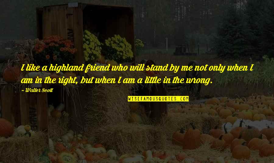 Friend Who Is There For You Quotes By Walter Scott: I like a highland friend who will stand