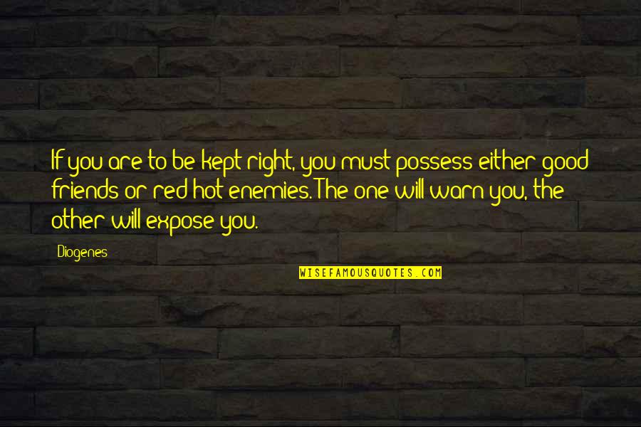 Friend Will Be Friends Quotes By Diogenes: If you are to be kept right, you