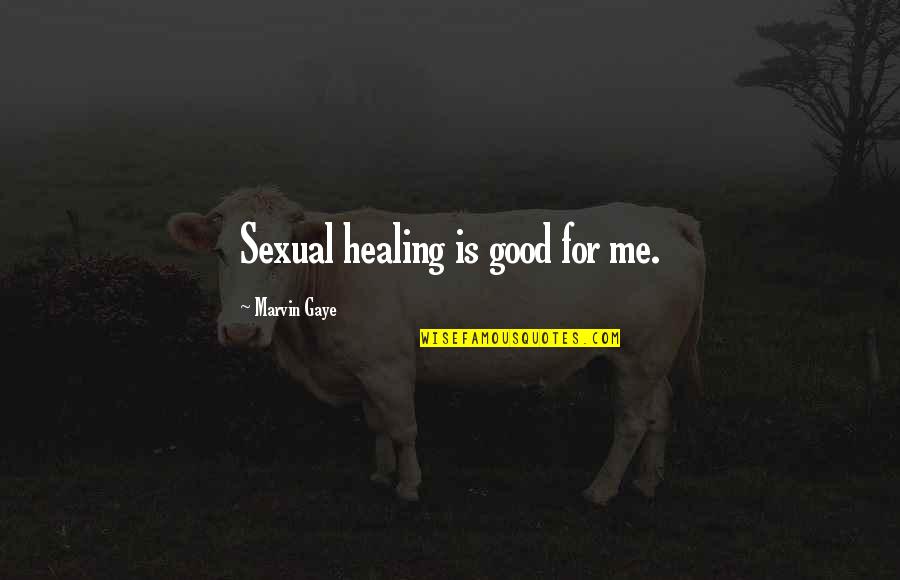 Friendlier Quotes By Marvin Gaye: Sexual healing is good for me.
