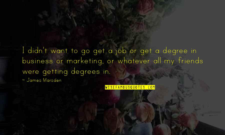 Friends And Business Quotes By James Marsden: I didn't want to go get a job