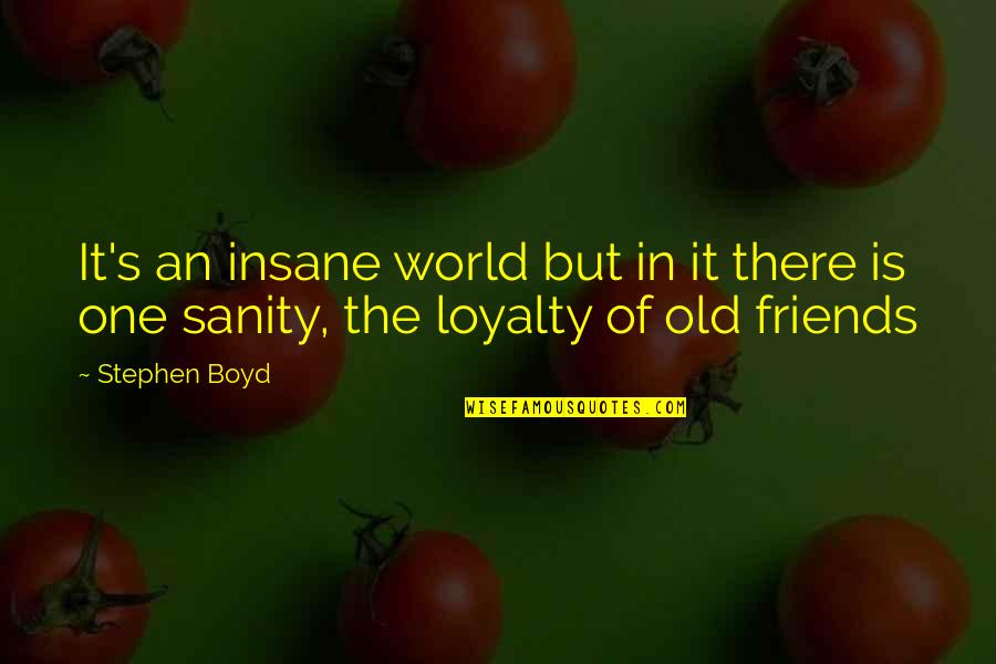 Friends And Loyalty Quotes By Stephen Boyd: It's an insane world but in it there