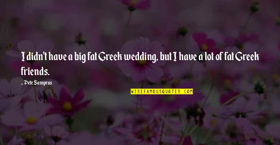 Friends And Wedding Quotes By Pete Sampras: I didn't have a big fat Greek wedding,