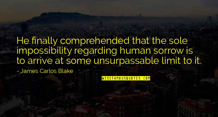 Friends Are Like Arches Quotes By James Carlos Blake: He finally comprehended that the sole impossibility regarding Friends Are Like Arches Quotes By James Carlos Blake: He finally comprehended that the sole impossibility regarding