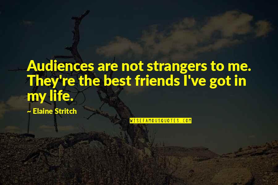 Friends Are The Best Quotes By Elaine Stritch: Audiences are not strangers to me. They're the
