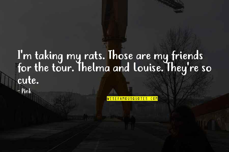 Friends Are Those Quotes By Pink: I'm taking my rats. Those are my friends