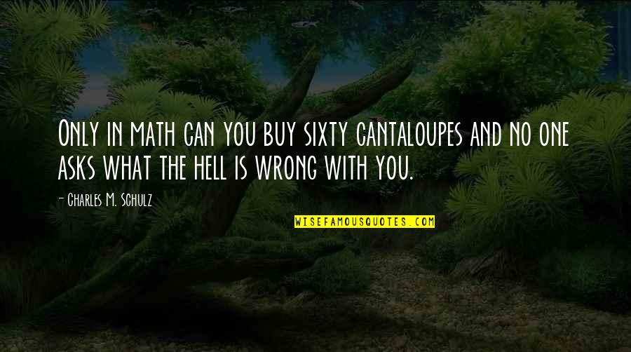 Friends Being Enemies Quotes By Charles M. Schulz: Only in math can you buy sixty cantaloupes