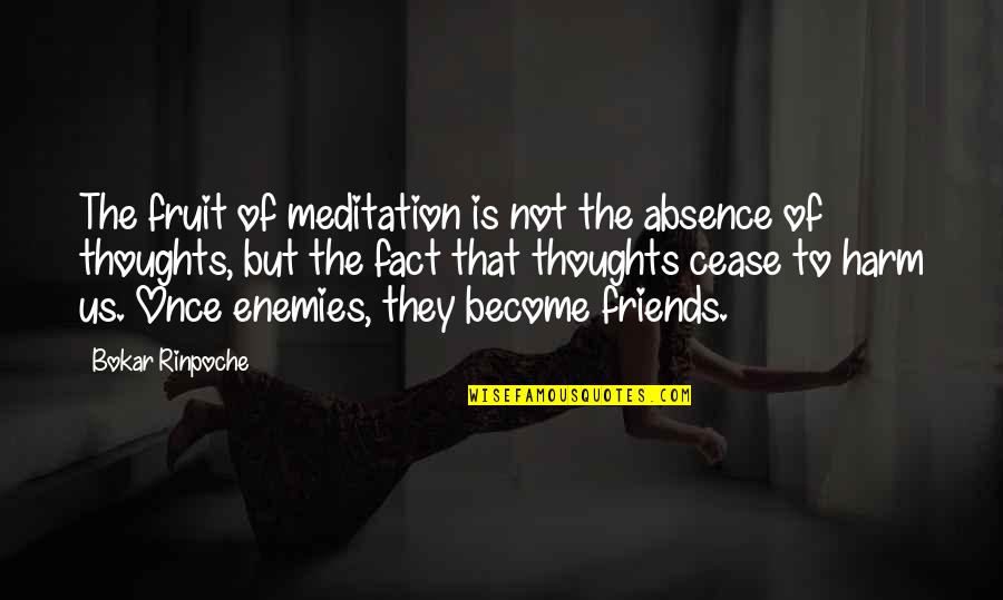 Friends But Not Friends Quotes By Bokar Rinpoche: The fruit of meditation is not the absence Friends But Not Friends Quotes By Bokar Rinpoche: The fruit of meditation is not the absence