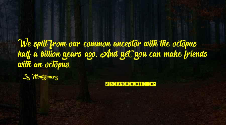 Friends Can Make Quotes By Sy Montgomery: We split from our common ancestor with the Friends Can Make Quotes By Sy Montgomery: We split from our common ancestor with the