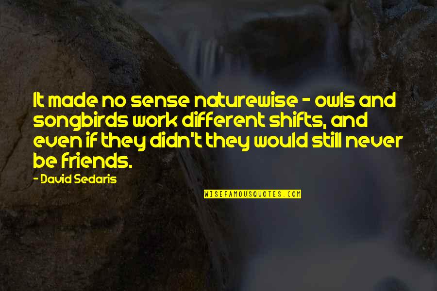 Friends David Quotes By David Sedaris: It made no sense naturewise - owls and