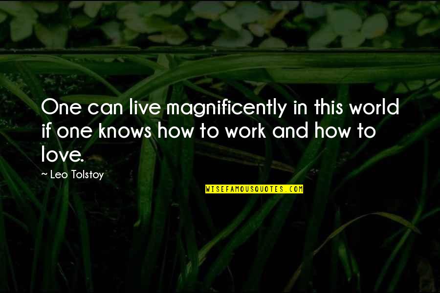 Friends Dependable Quotes By Leo Tolstoy: One can live magnificently in this world if