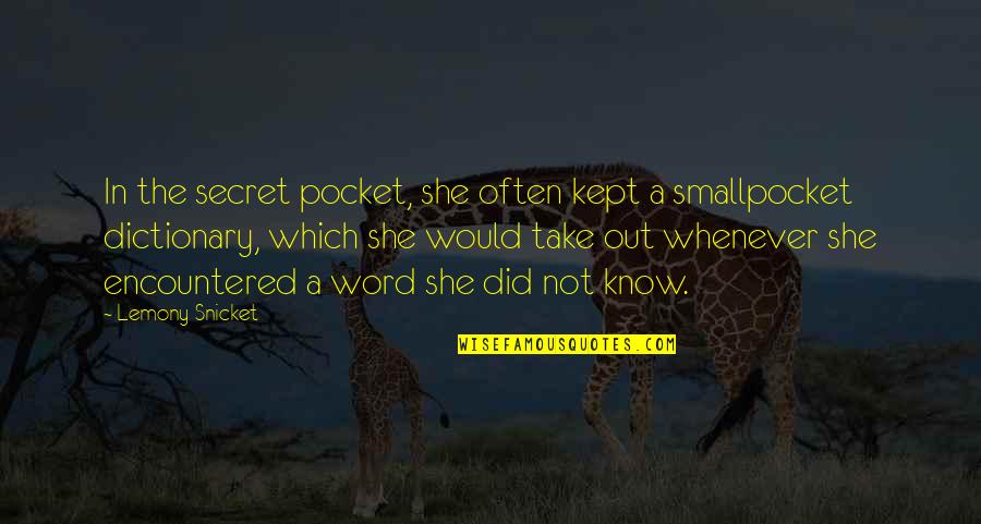 Friends Dont Bother Quotes By Lemony Snicket: In the secret pocket, she often kept a