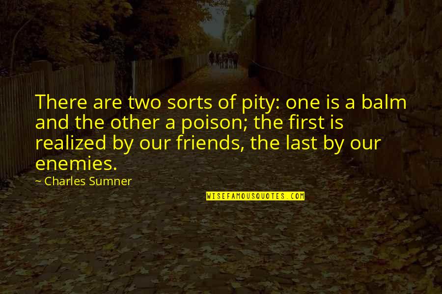 Friends Enemies Quotes By Charles Sumner: There are two sorts of pity: one is Friends Enemies Quotes By Charles Sumner: There are two sorts of pity: one is