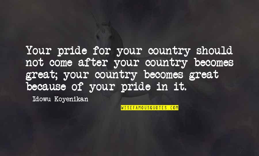 Friends False Quotes By Idowu Koyenikan: Your pride for your country should not come