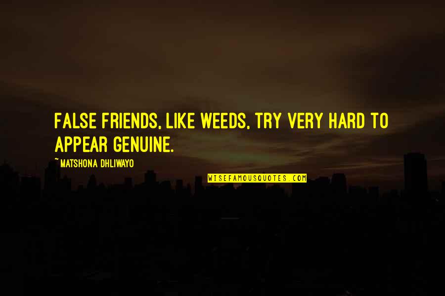 Friends False Quotes By Matshona Dhliwayo: False friends, like weeds, try very hard to