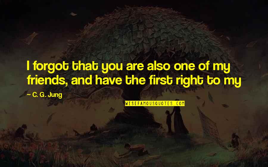 Friends First Quotes By C. G. Jung: I forgot that you are also one of