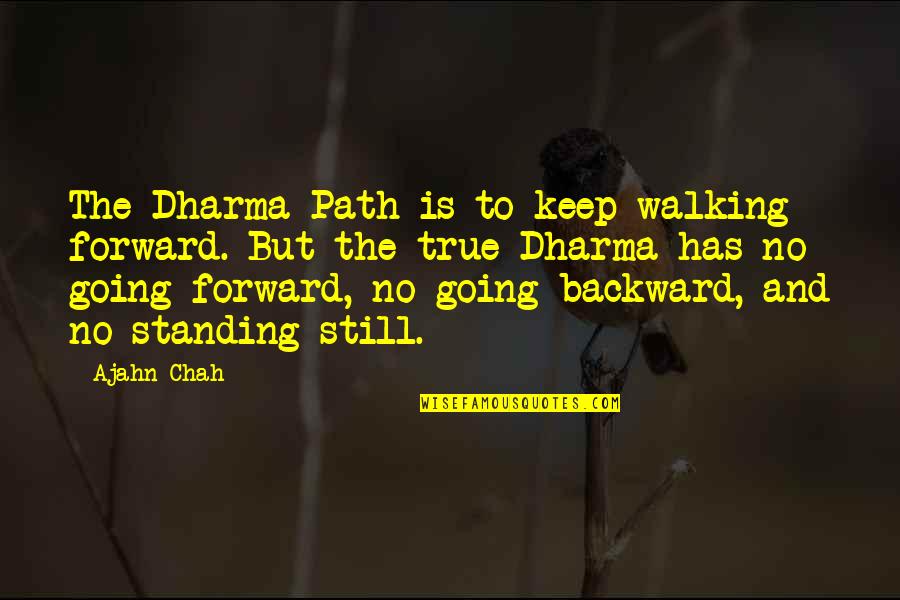 Friends For Lifetime Quotes By Ajahn Chah: The Dharma Path is to keep walking forward.