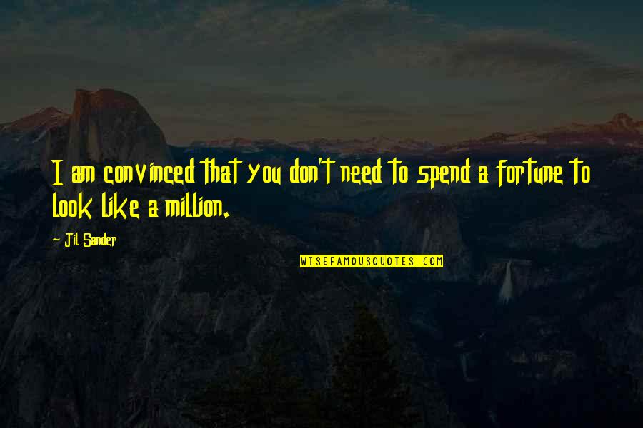Friends Forget Me Not Quotes By Jil Sander: I am convinced that you don't need to