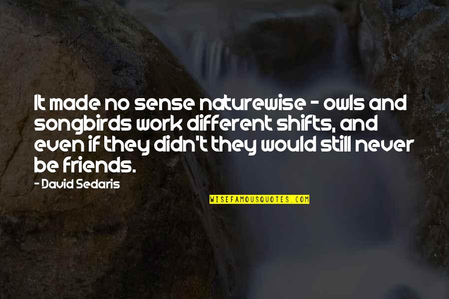 Friends From Work Quotes By David Sedaris: It made no sense naturewise - owls and