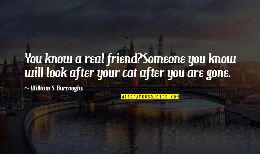 Friends Gone Too Soon Quotes By William S. Burroughs: You know a real friend?Someone you know will