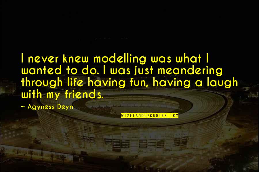 Friends Having Fun Quotes By Agyness Deyn: I never knew modelling was what I wanted