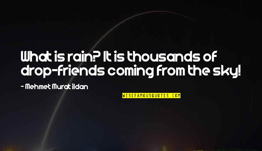 Friends In The Rain Quotes By Mehmet Murat Ildan: What is rain? It is thousands of drop-friends Friends In The Rain Quotes By Mehmet Murat Ildan: What is rain? It is thousands of drop-friends