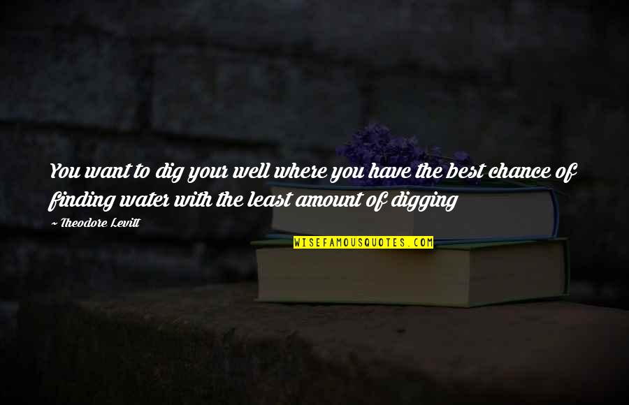 Friends In Times Of Crisis Quotes By Theodore Levitt: You want to dig your well where you