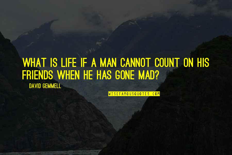 Friends Mad At Each Other Quotes By David Gemmell: What is life if a man cannot count